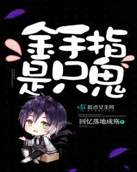 金手指作弊码