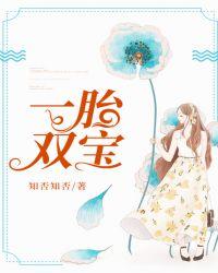 一胎双宝老婆复仇超厉害