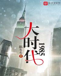 大时代1985TXT免费