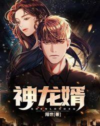 神龙神婿免费阅读