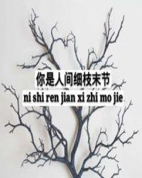 你是人间细枝末节晋江文学城