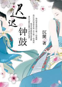 耿耿星河欲曙天什么修辞