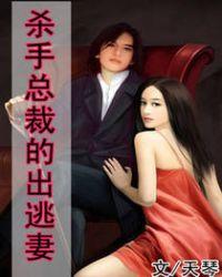 总裁的杀手妻