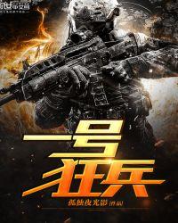 一号狂兵大结局完整版