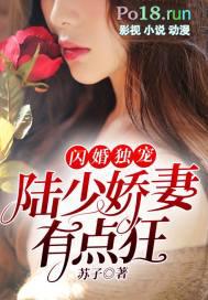 闪婚娇妻陆少太着急
