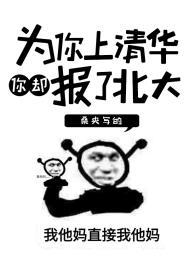 学霸陪我复读三年