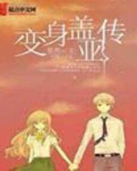 盖亚的变身器是