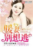 蜜爱100分宠妻百分百