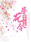 簪花令 短视频