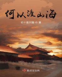 何以渡人dosm