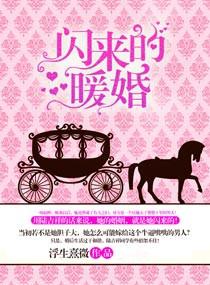 闪来的暖婚(高干)作者浮生熹微