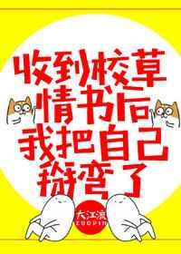 我把自己掰弯了晋江