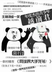 网王越前兄弟