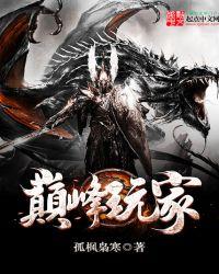 巅峰玩家新笔趣阁