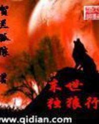 末世独狼黑暗流