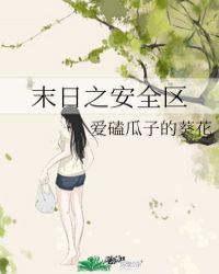 末日之安全区无防盗