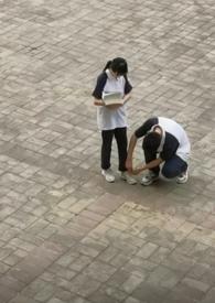 一本叫雏菊的