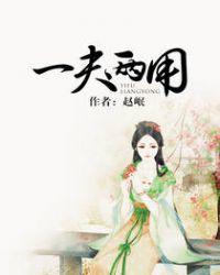 一夫两用赵岷免费阅读全文