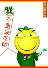 我真不是采花贼!gl 在线阅读