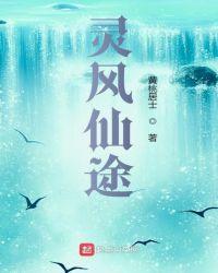 灵峰仙途