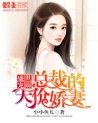 盛世宠婚总裁有点甜