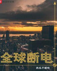 全球停电美剧