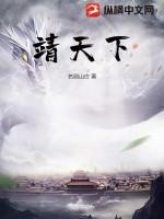 靖天下是什么意思