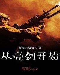 从亮剑开始崛起后宫团