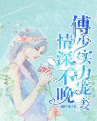 情深不晚傅少