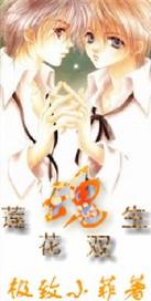 莲花双生魂作者极致小菲