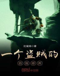 盗贼的能力