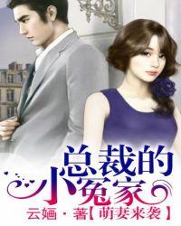 总裁的小萌妻txt