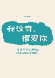 我没有停止过爱你