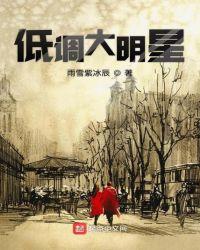 低调大明星起点