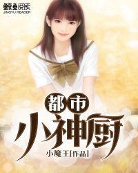 都市神厨苏阳最新章节更新详情