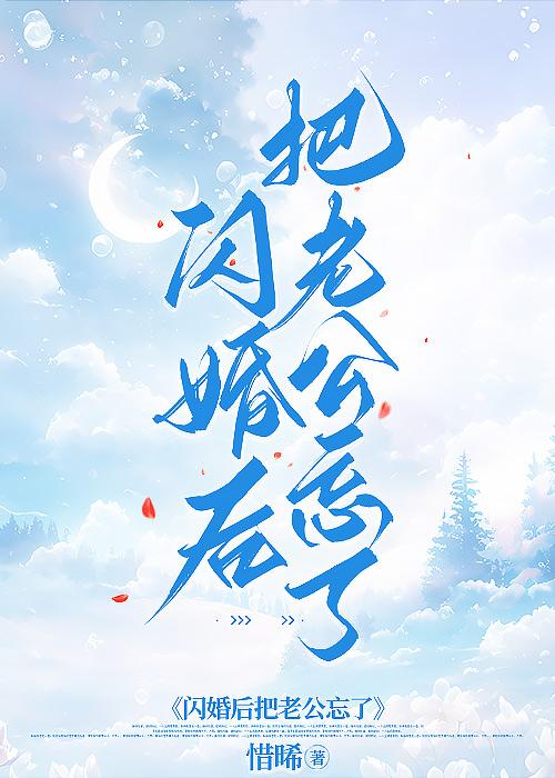 闪婚后把老公忘了心淡