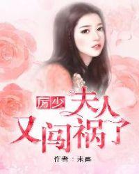 夫人又闯祸了有声