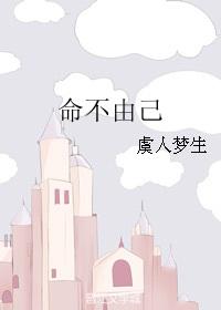 命不由己身不由己歌曲