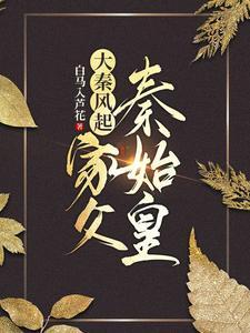 大秦风起家父秦始皇在线阅读