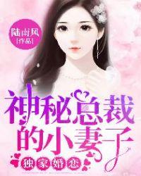 神秘总裁隐婚妻