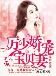 厉少娇宠宝贝妻免费