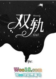 双轨拂衣归林峦免费