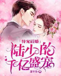 陆少宠妻成疾