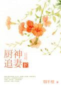 厨神系列