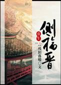 重生侧福晋少辛