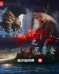 主角是哈利波特的兄弟