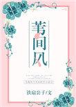 苇间风作者铁扇公子
