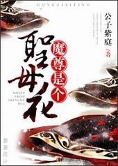 魔尊是个圣母花晋江