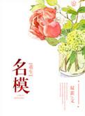 重生国民模特