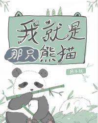 我就是那只熊猫作者月不狂